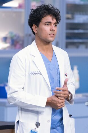 Anatomia lui Grey Sezonul 19 Episodul 6