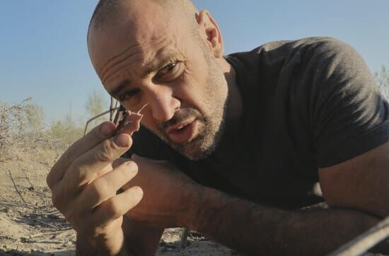 Ed Stafford: Das Survival-Duell