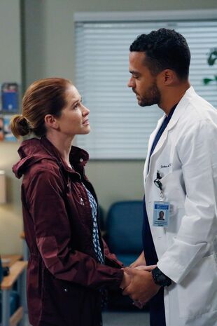 Anatomia lui Grey Sezonul 12 Episodul 6