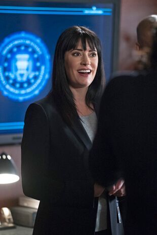 Minţi criminale Sezonul 12 Episodul 22