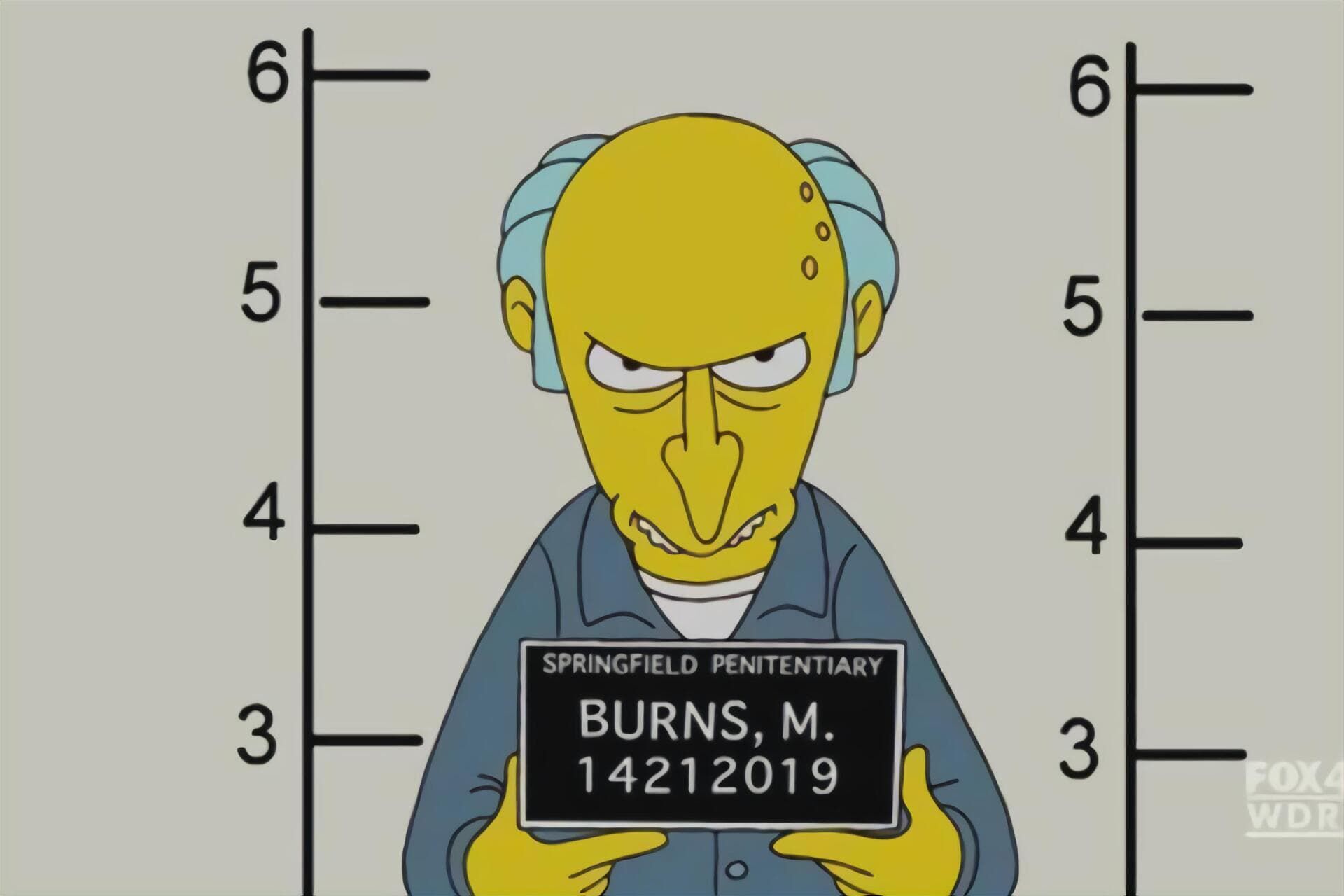 The Simpsons Seizoen 21 Aflevering 17