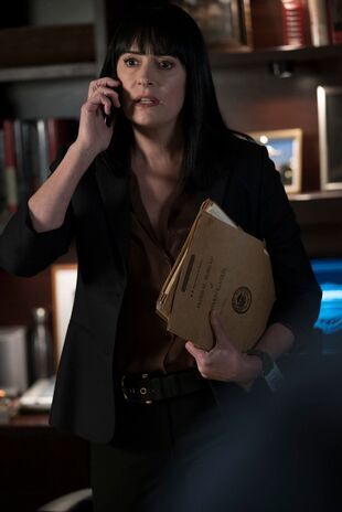 Minţi criminale Sezonul 13 Episodul 14