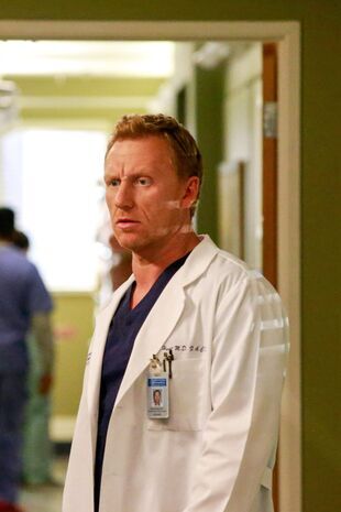 Anatomia lui Grey Sezonul 13 Episodul 11