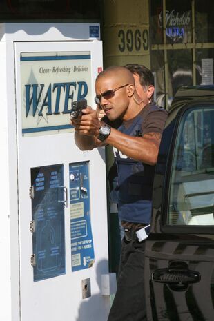 Minţi criminale - Memorie de elefant