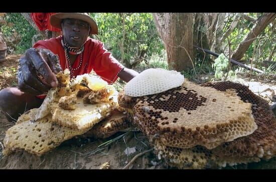 Die Bienenflüsterer