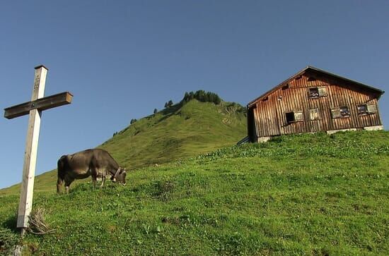 Alpwirtschaft in Vorarlberg – Tradition und Moderne im Wandel der Zeit