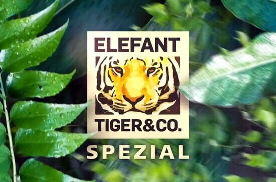 Elefant, Tiger & Co.