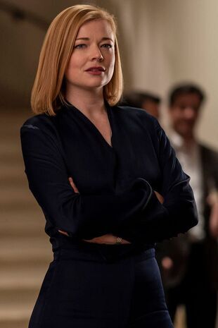 Succesiunea Sezonul 2 Episodul 6