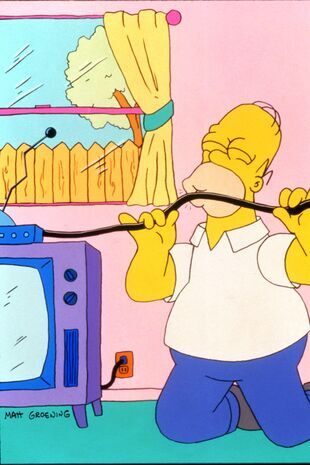 The Simpsons Seizoen 2 Aflevering 13