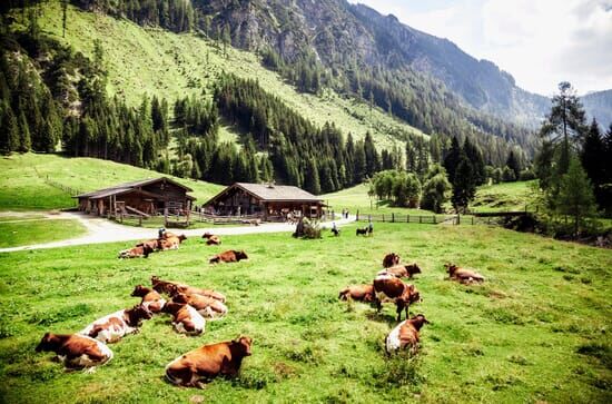 Bauernherbst im Salzburger Land