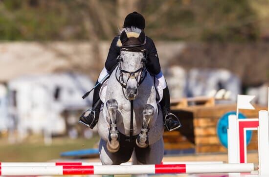 Springreiten: Weltcup