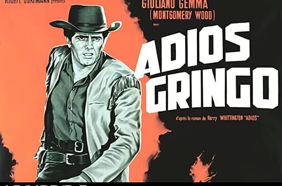 Adios, Gringo