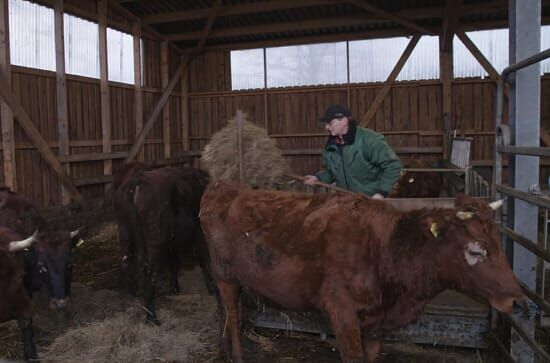 Die Geschichte der Landwirtschaft