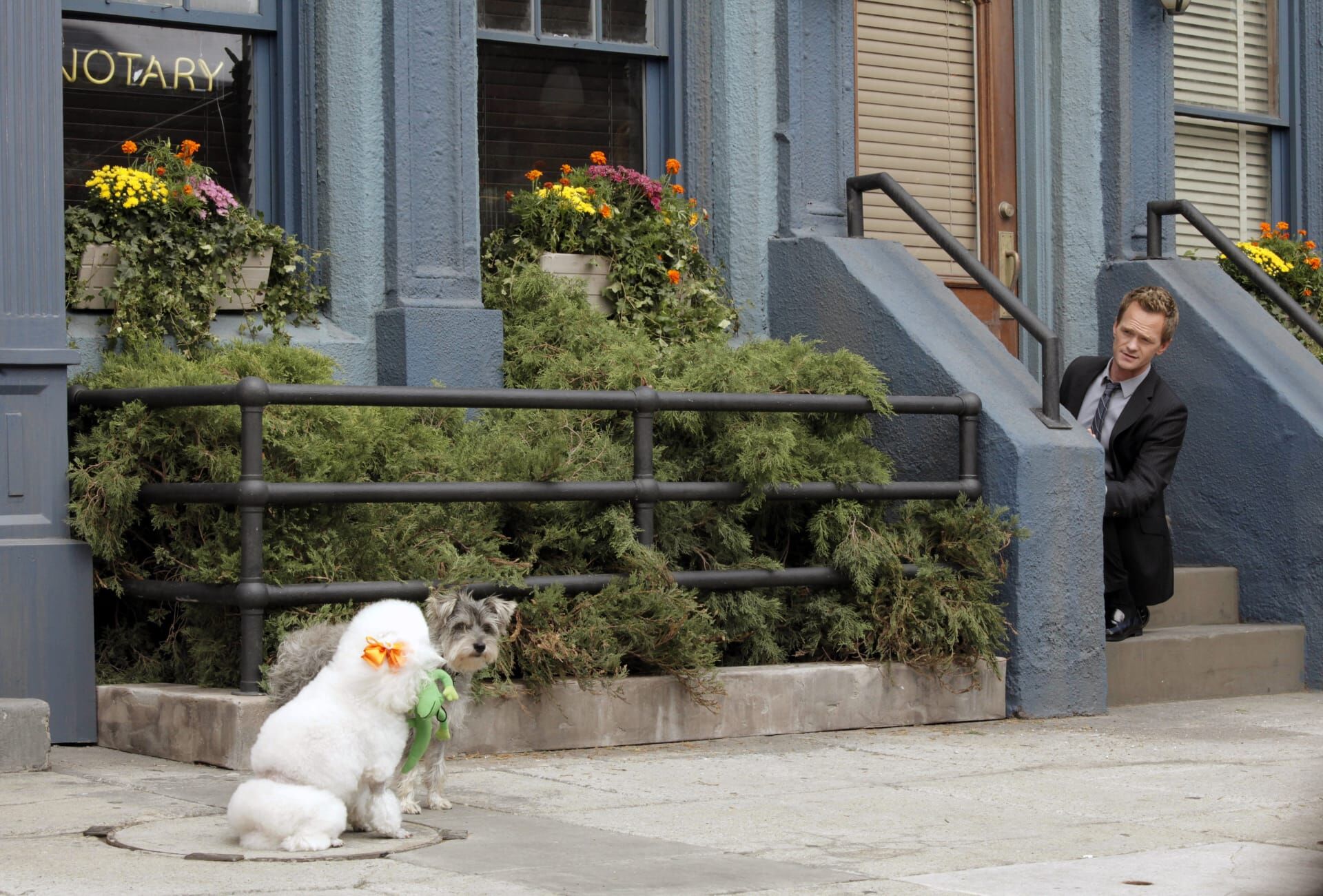 How I Met Your Mother Seizoen 8 Aflevering 5