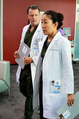 Anatomia lui Grey Sezonul 9 Episodul 3