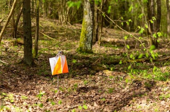 Orientierungslauf Weltcup