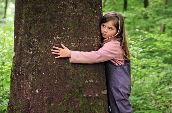 Der Wald ist mein Schulzimmer – Wie Kinder im Freien lernen