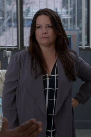 Anatomia lui Grey Sezonul 16 Episodul 3