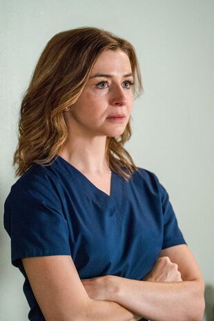 Anatomia lui Grey Sezonul 15 Episodul 9