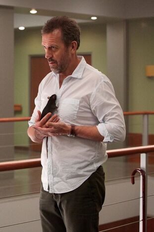 Dr House Saison 8 Épisode 15