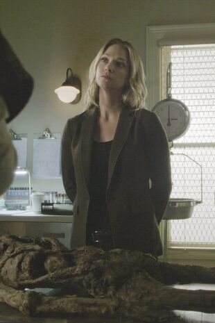 Minţi criminale Sezonul 12 Episodul 8