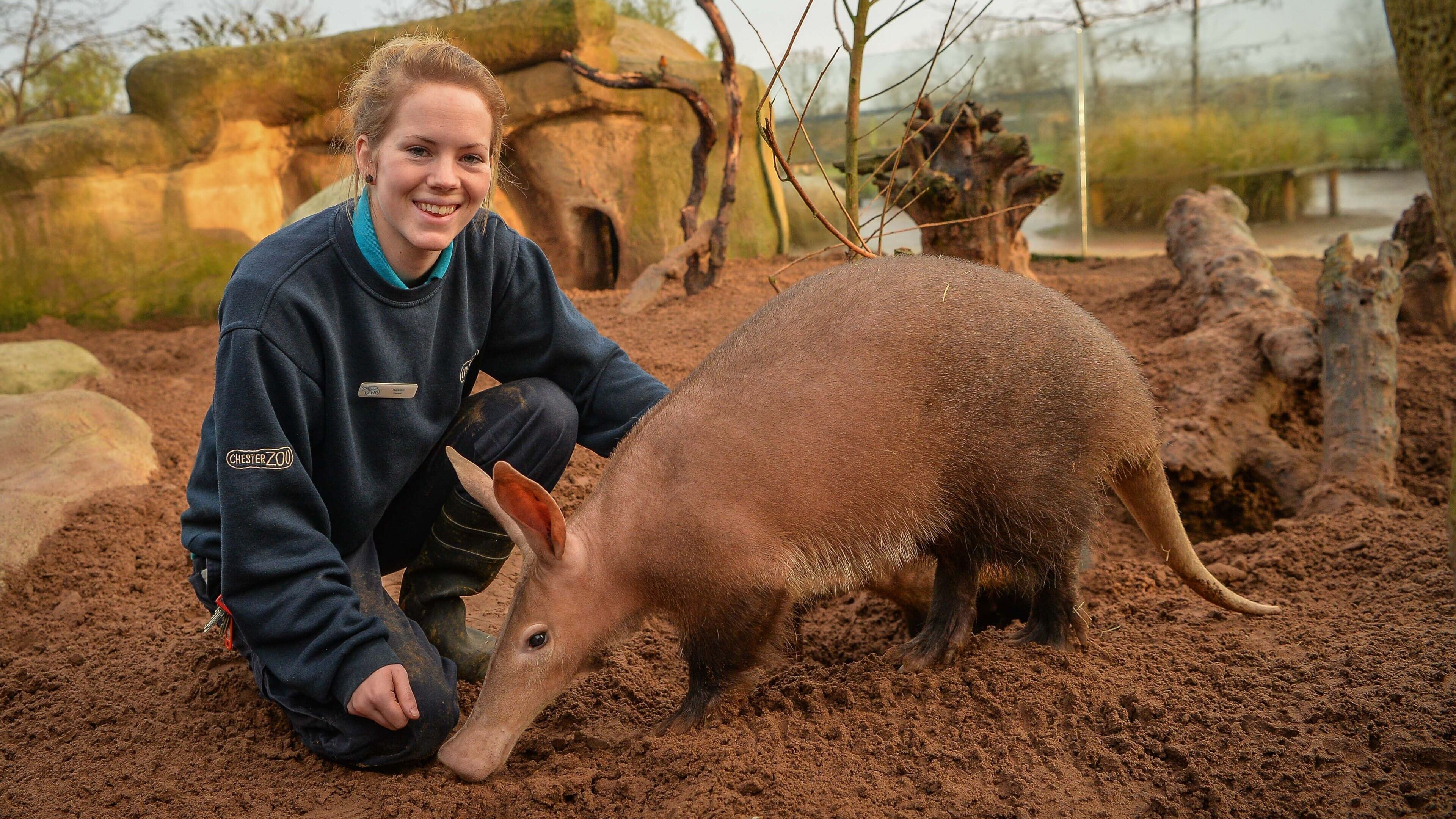 Zoo und so – Tierisch wild!