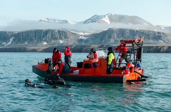 OceanXplorers – Geheimnisse der Ozeane