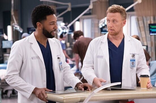 Grey's Anatomy – Die...