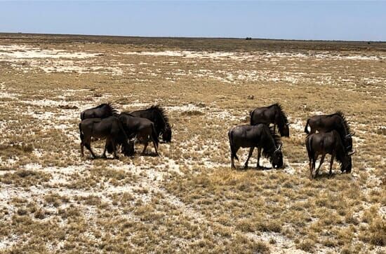 Unentdecktes Nordnamibia