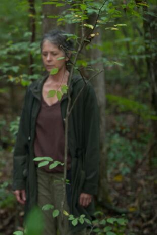 The Walking Dead: Invazia zombi Sezonul 6 Episodul 13