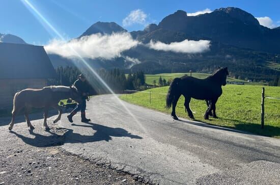 Zurück zur Natur