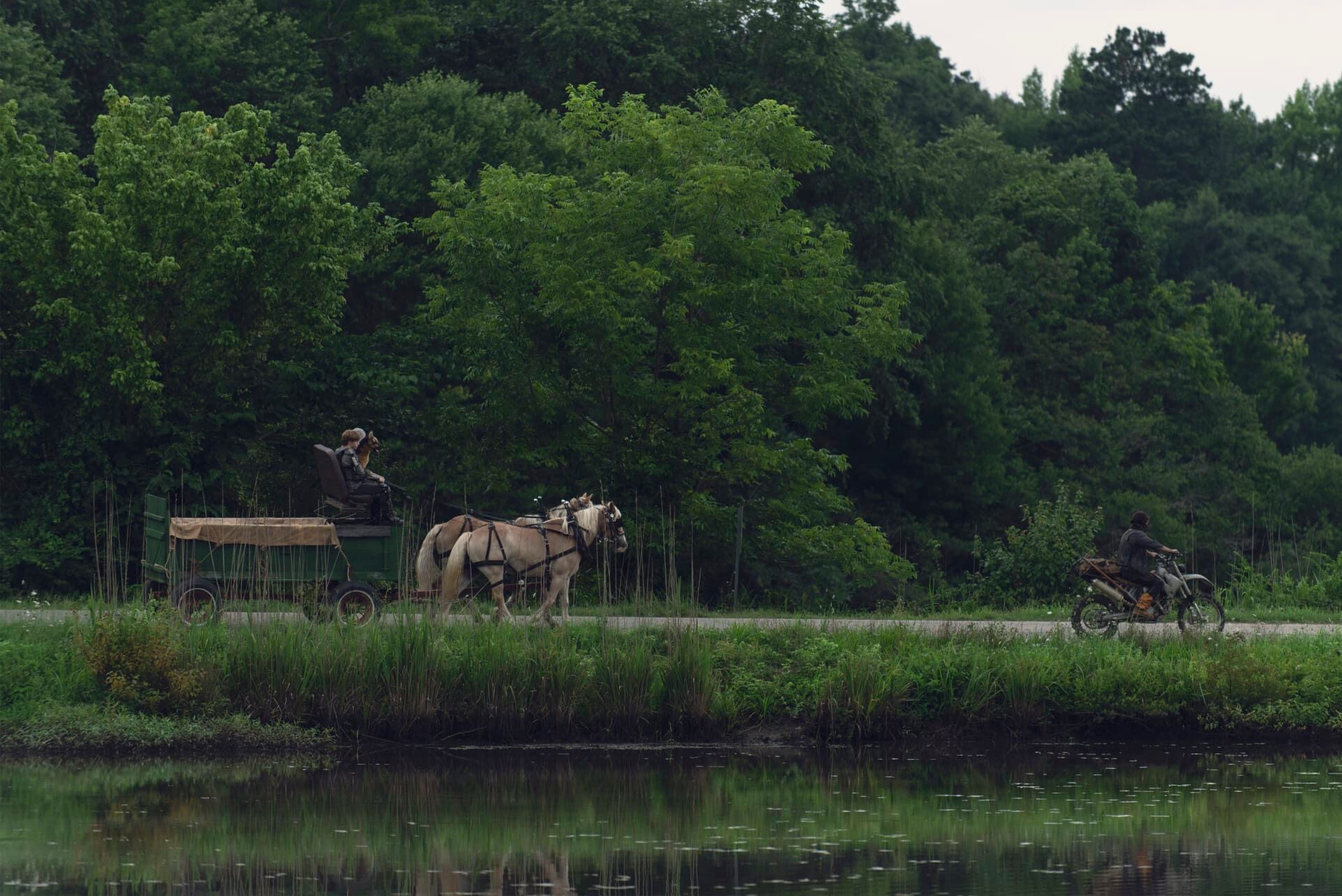 The Walking Dead: Invazia zombi Sezonul 9 Episodul 7