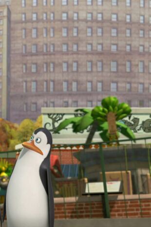 Pinguinii din Madagascar Sezonul 2 Episodul 10