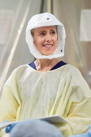 Anatomia lui Grey Sezonul 17 Episodul 15