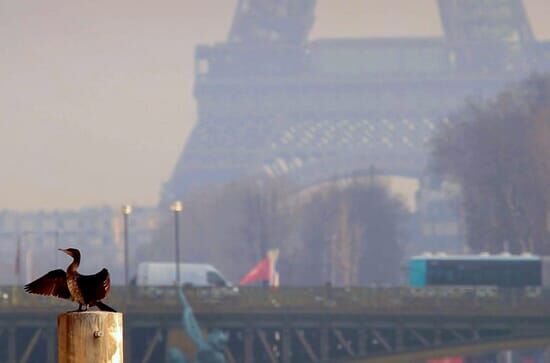 Frankreich – Wild und schön