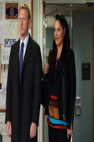 Anatomia lui Grey Sezonul 11 Episodul 3