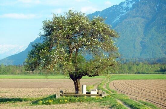 Untersberg – Sagenreiche...