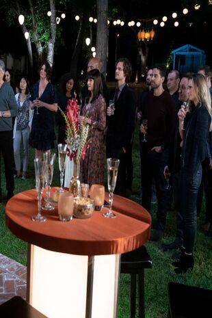 Minţi criminale Sezonul 13 Episodul 19