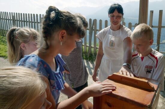 Bergbäuerinnen in Südtirol – Der Weg zum Ziel