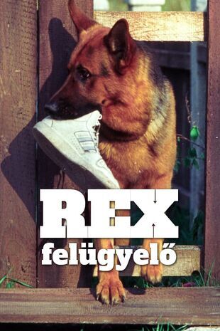 Rex felügyelő Évad 10 rész 4