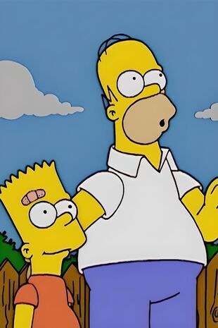 Les Simpson Saison 14 Épisode 19