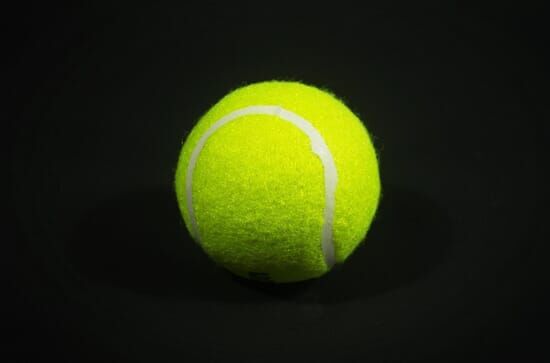 Tennis : Tournoi ATP de...