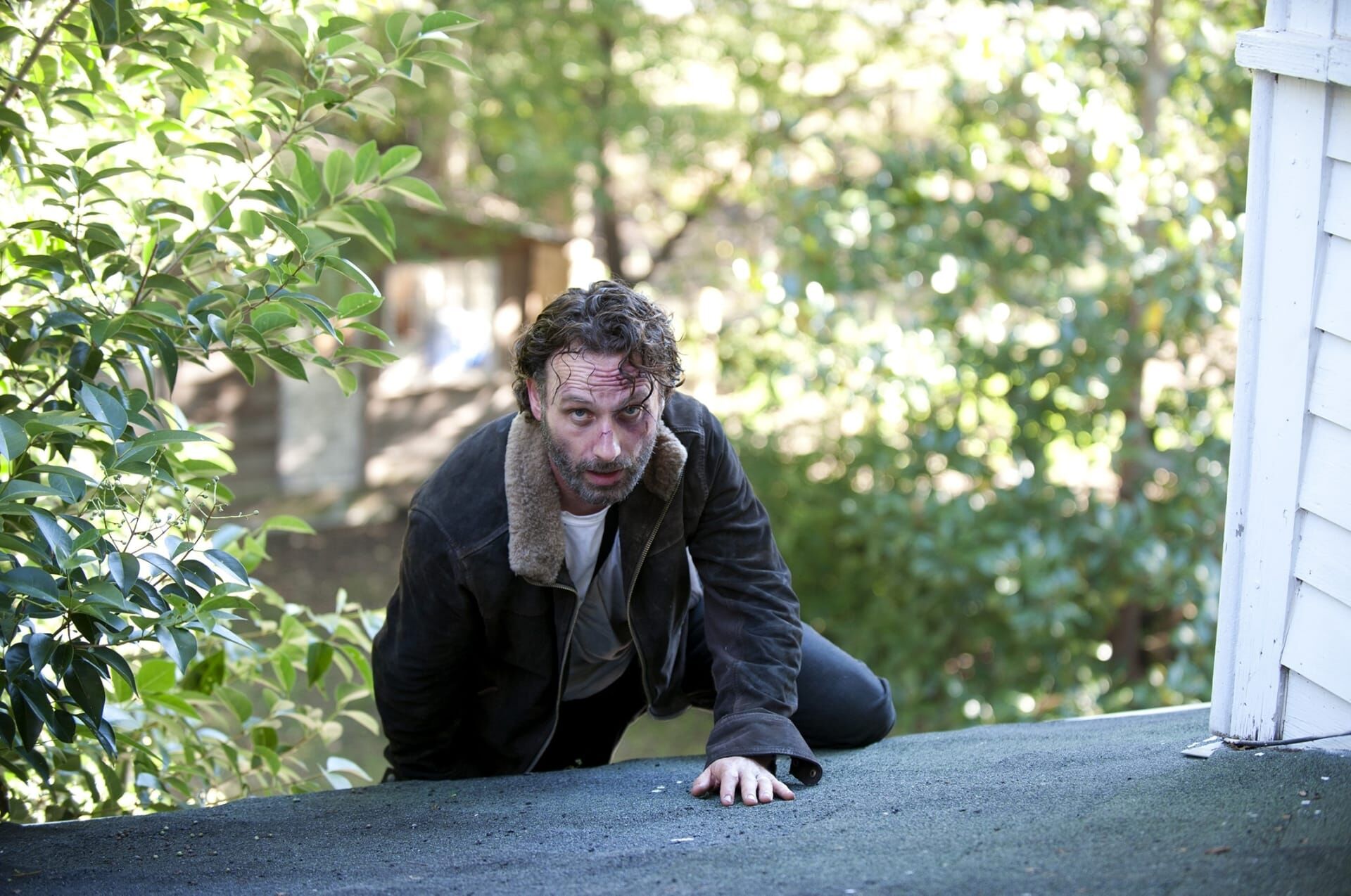 The Walking Dead: Invazia zombi Sezonul 4 Episodul 11