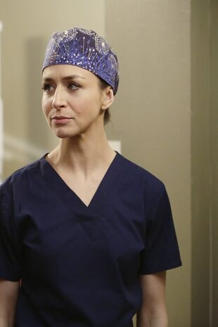 Anatomia lui Grey Sezonul 11 Episodul 14