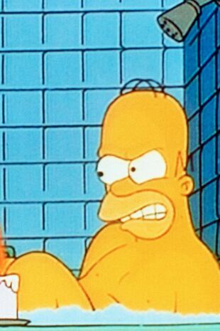 Les Simpson Saison 6 Épisode 10