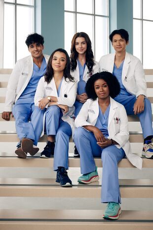 Anatomia lui Grey Sezonul 19