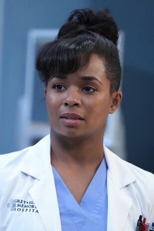Anatomia lui Grey Sezonul 21 Episodul 13