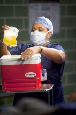 Anatomia lui Grey Sezonul 7 Episodul 13
