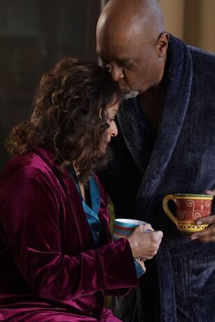 Anatomia lui Grey Sezonul 17 Episodul 14