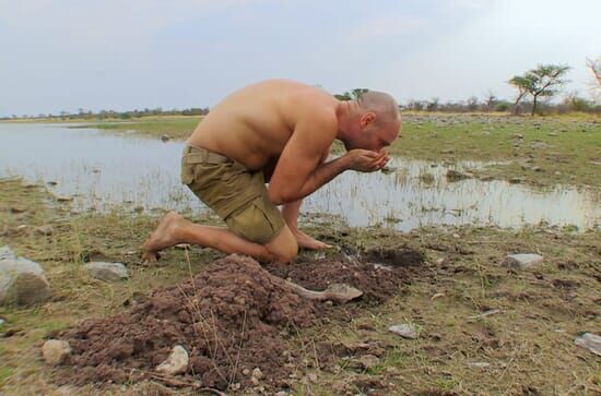 Ed Stafford: Wie ich die Welt überlebte